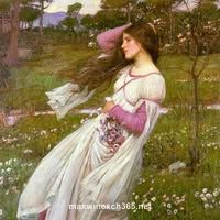 User Debra Carey